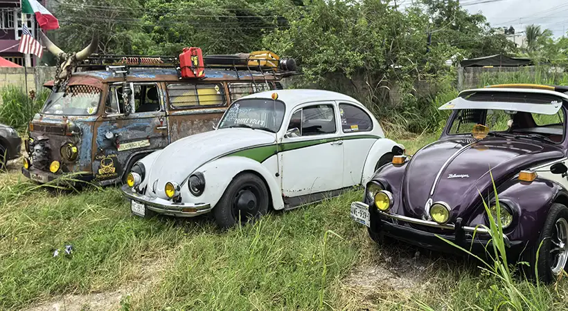 eventos autos modificados mexico septiembre 2024